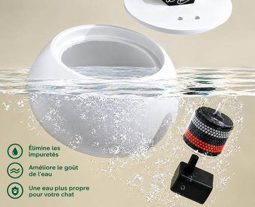 Fontaine à eau automatique pour chat