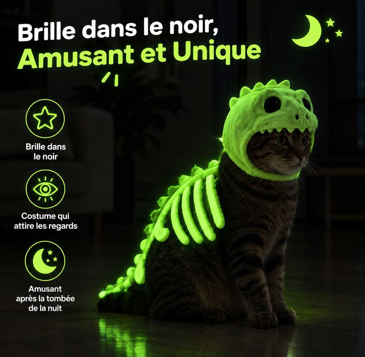 Costume Dinosaure pour Chat – DinoCat 🦖
