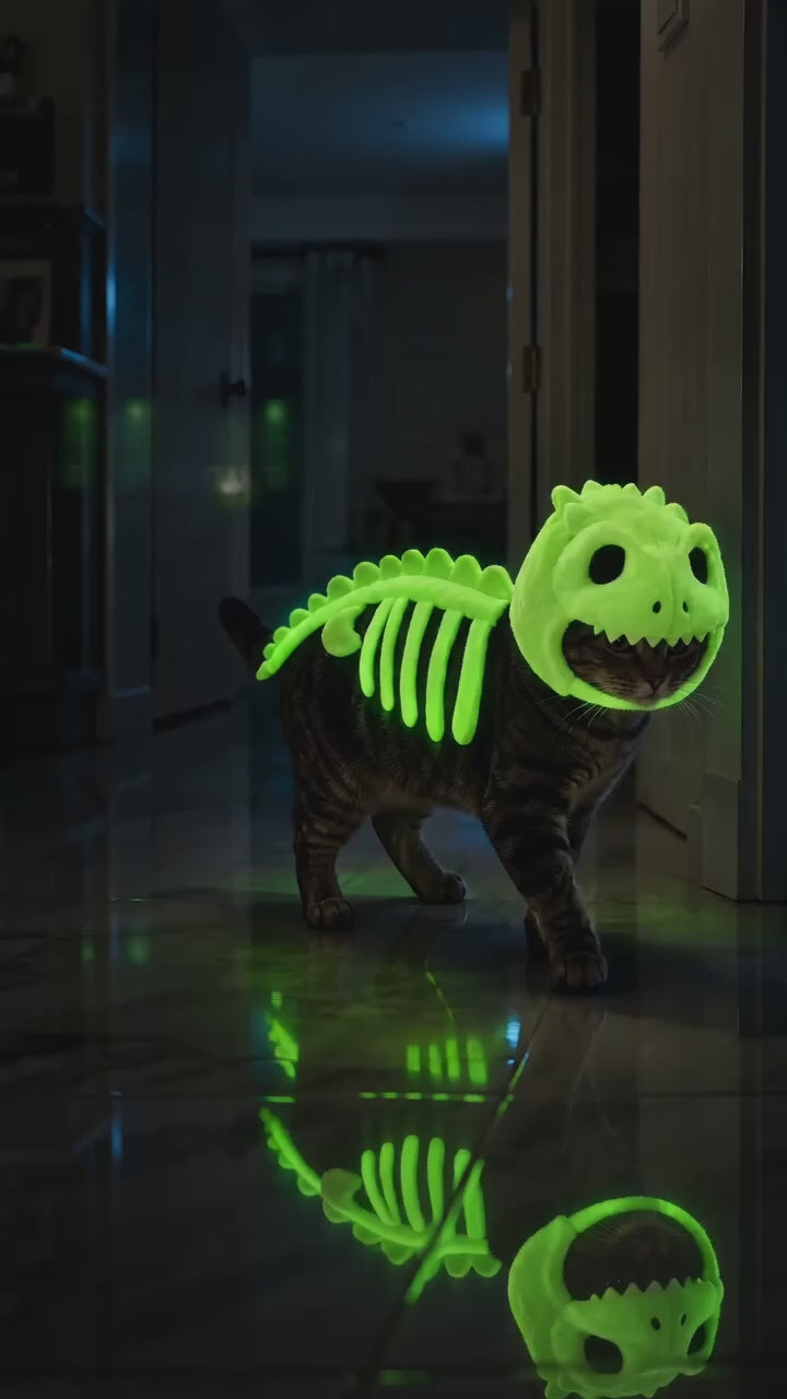 Costume Dinosaure pour Chat – DinoCat 🦖